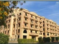 shkh-160-mtr-astlam-fory-llbyaa-fy-alashrfyh-fy-klb-altgmaa-big-2