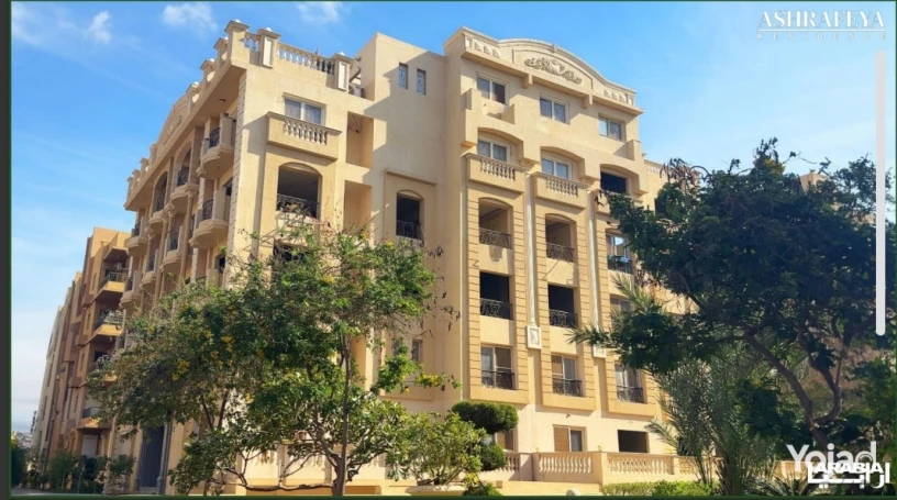 shkh-160-mtr-astlam-fory-llbyaa-fy-alashrfyh-fy-klb-altgmaa-big-1