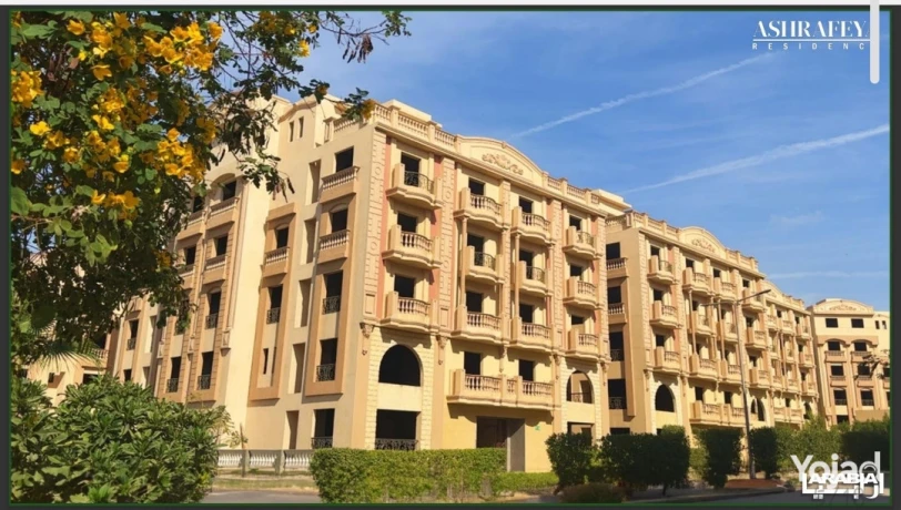 shkh-160-mtr-astlam-fory-llbyaa-fy-alashrfyh-fy-klb-altgmaa-big-2