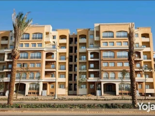 الاستلامات الفوري لسا موجودة ️