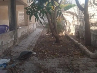 أرض بالعجمي