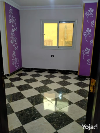 shk-llbyaa-140m-khlf-klyh-alsydlh-almktm-alhdbh-alost-big-1