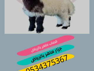 قصاب ماهر بالرياض 0534375367