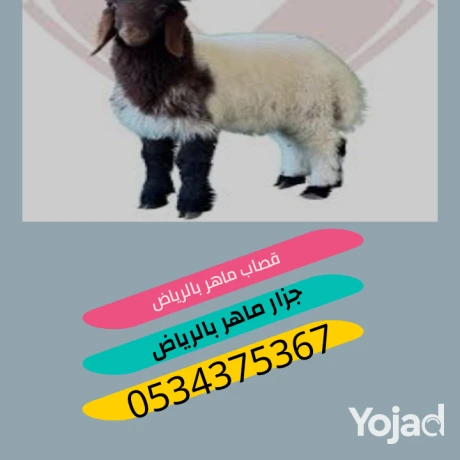 ksab-mahr-balryad-0534375367-big-0