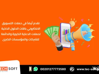 حملات التسويق الالكتروني مع شركة تك سوفت للحلول الذكية