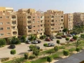 shk-mmyz-bsaar-hlo-gdaa-fy-kmbond-tyb-gardnz-big-0