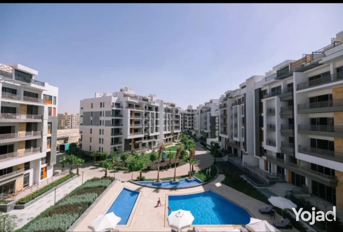 shk-lkth-llbyaa-fy-altgmaa-alkhams-baltksyt-aaly-10-snyn-big-2