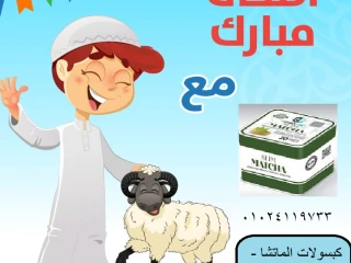 كابسولات الماتشا للتخسيس وحرق الدهون