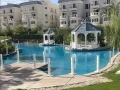 shk-mtshtb-balkaml-fy-klb-almstkbl-syty-aliva-mounta-big-0