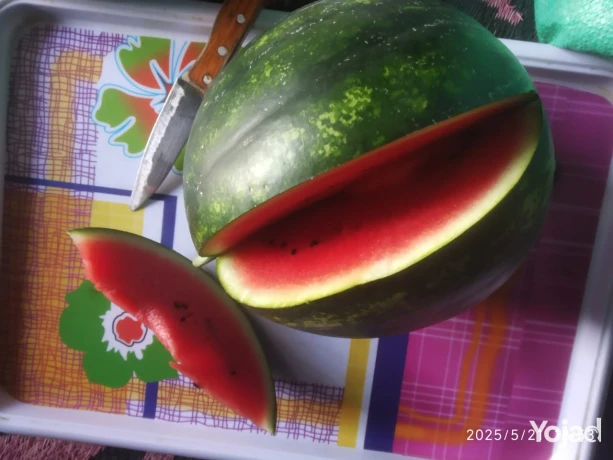 btykh-krymson-byby-oryfr-sayd-big-1