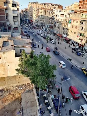 shk-llbyaa-aal-askndry-mtroh-alryysy-big-0