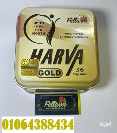 harfa-gold-alasly-lltkhsys-ohrk-aldhon-big-1
