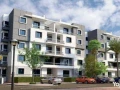 bnthaos-llbyaa-bmsah-155m-fy-gayd-altgmaa-alkhams-bfyo-mmyz-big-1