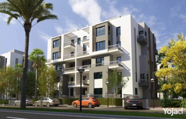 bnthaos-llbyaa-bmsah-155m-fy-gayd-altgmaa-alkhams-bfyo-mmyz-big-8