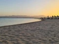 shalyh-llbyaa-fy-kry-soma-bay-fy-alghrdk-bmkdm-900alf-big-7