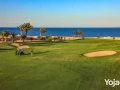 shalyh-llbyaa-fy-kry-soma-bay-fy-alghrdk-bmkdm-900alf-big-4