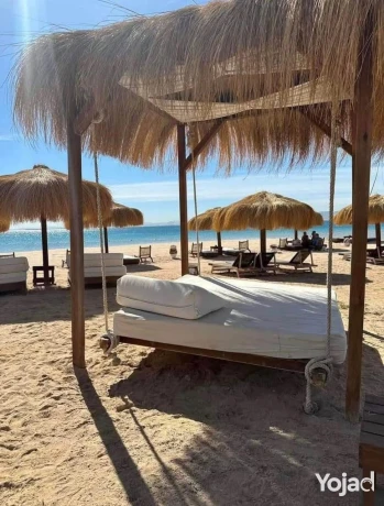 shalyh-llbyaa-fy-kry-soma-bay-fy-alghrdk-bmkdm-900alf-big-0