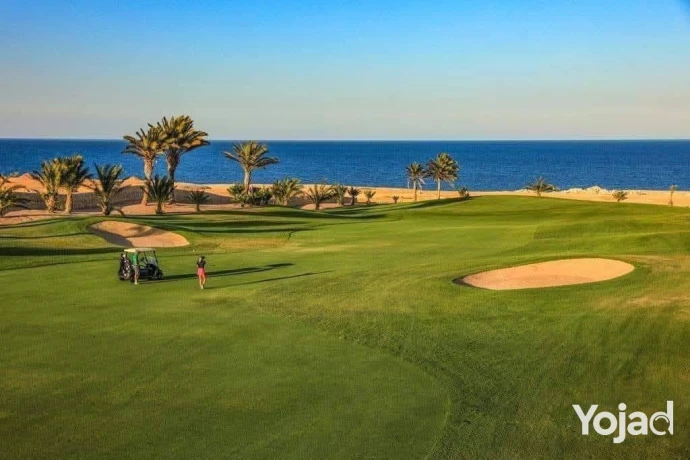 shalyh-llbyaa-fy-kry-soma-bay-fy-alghrdk-bmkdm-900alf-big-4