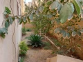 shkh-llbyaa-bmdynh-alaabor-375mtr-big-2