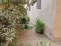 shkh-llbyaa-bmdynh-alaabor-375mtr-big-1