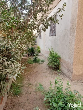 shkh-llbyaa-bmdynh-alaabor-375mtr-big-1