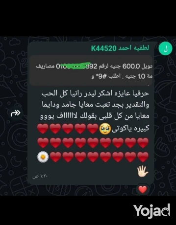 shghl-kol-sntr-big-0