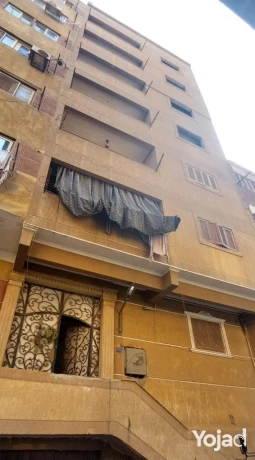 mnzl-bmzraa-albt-bshbra-alkhym-mn-almalk-mbashr-big-0