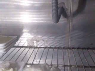 ثلاجه عرض 2باب