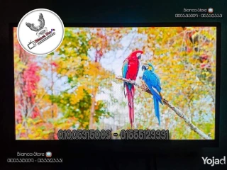 شاشة 24 بوصة أورچينال أصلية معاها رسيفر Iptv + قاعدة مكتب