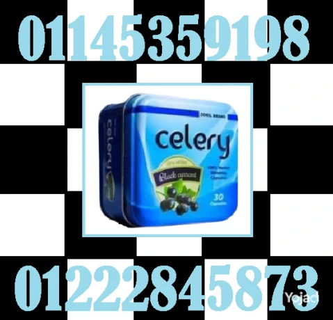 sylyry-celery-odaa-aldhon-alaanyd-big-0