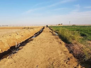 أرض منتجة زراعية بالكريمات علي بعد دقائق من بوابة حلوان