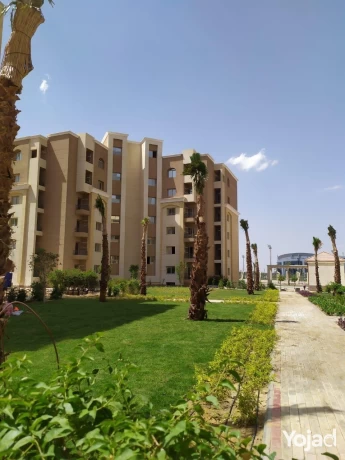 finished-apartment-137m-2beds-in-al-maqsad-big-4