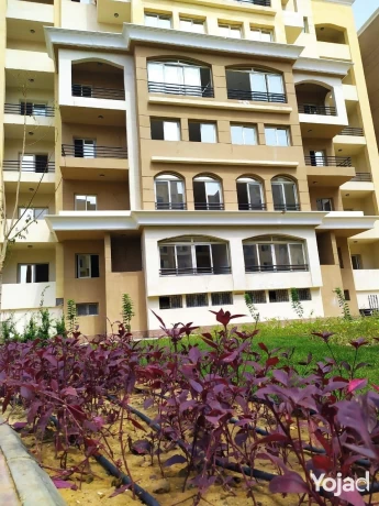 finished-apartment-137m-2beds-in-al-maqsad-big-6
