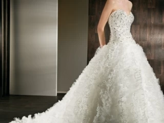 فستان زفاف ماركة ديمتريوس