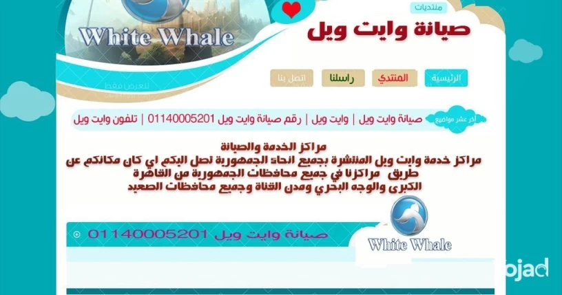 syan-oayt-oyl-alsahl-alshmaly-01140005201-white-whale-big-4