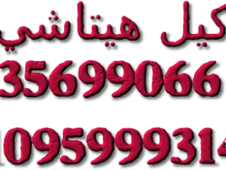 صيانة ثلاجات هيتاشي الحسينية 01096922100
