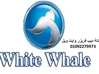 رقم مركز صيانة وايت ويل السنبلاوين 01093055835