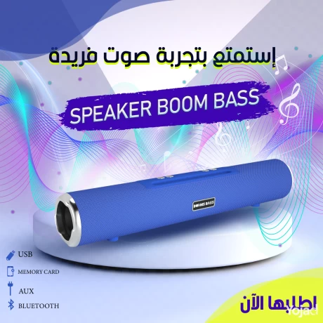 speaker-boom-bass-big-4