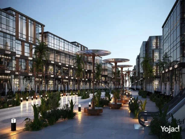 market-for-sale-in-new-zayed-big-8