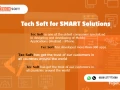 tech-soft-for-smart-solutions-big-4